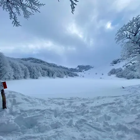 Bel Фьюмальбо
