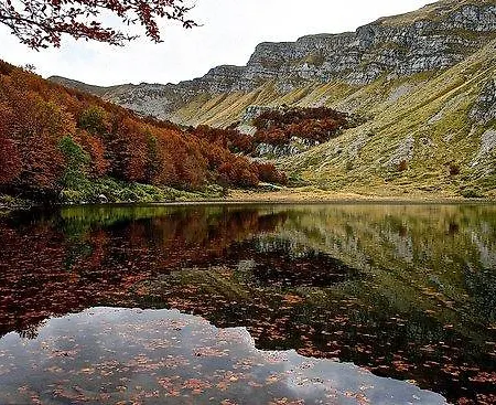 Bel * 菲乌马尔博