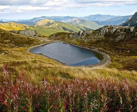 Bel * 菲乌马尔博